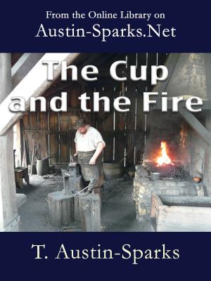 Book cover of The Cup and the Fire