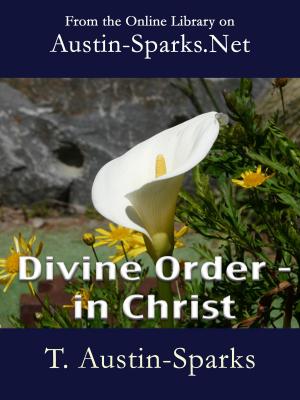 Cover of the book Divine Order - in Christ by Matthew Pryor