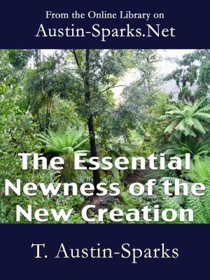 Book cover of The Essential Newness of the New Creation