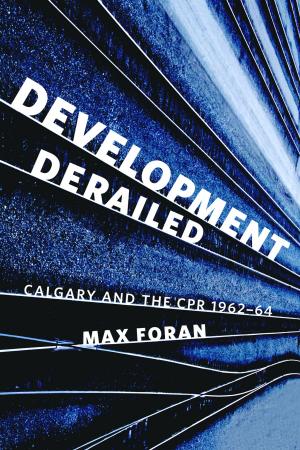 Cover of the book Development Derailed by Todd McCallum