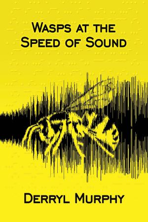Cover of the book Wasps at the Speed of Sound by Paula Johanson