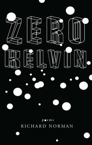 Cover of the book Zero Kelvin by Joshua Glenn