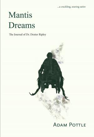Cover of the book Mantis Dreams by Kate Braid