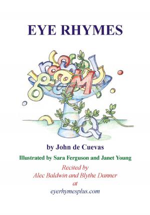 Cover of the book Eye Rhymes by Mike Bottini