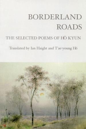 Cover of the book Borderland Roads by James O’Mahony