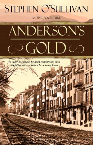 Cover of the book Anderson's Gold by Sissy Nelsen