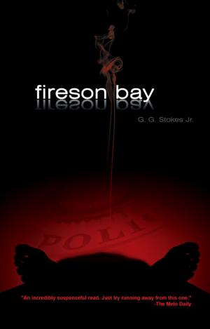 Book cover of Fireson Bay
