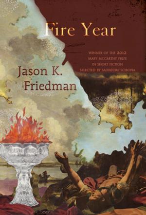 Cover of the book Fire Year by Stephen Dunn