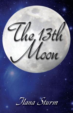 Book cover of The 13th Moon