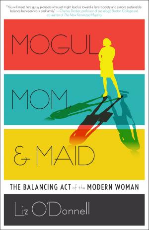 Cover of the book Mogul, Mom, & Maid by Bob Parsanko, Paul Heagen
