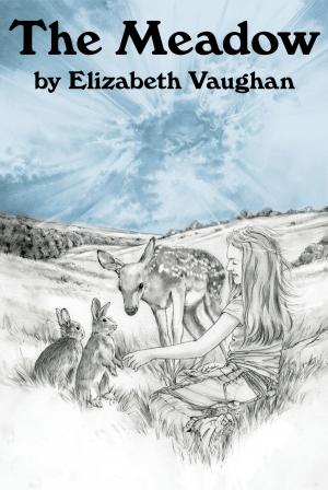 Cover of the book The Meadow by Stephen T. Smith