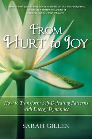 Book cover of From Hurt to Joy, How to Transform Self-Defeating Patterns with Energy Dynamics