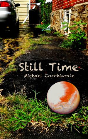 Cover of the book Still Time by L.E. Smith
