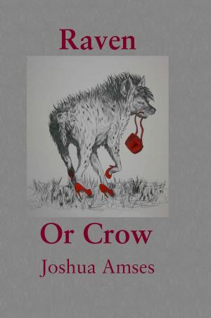 Cover of the book Raven or Crow by Jennifer Anne Moses