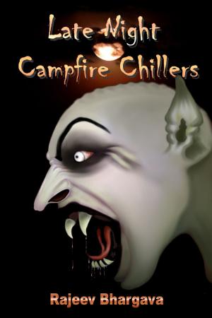 Cover of the book Late Night Campfire Chillers by Allan M. Heller