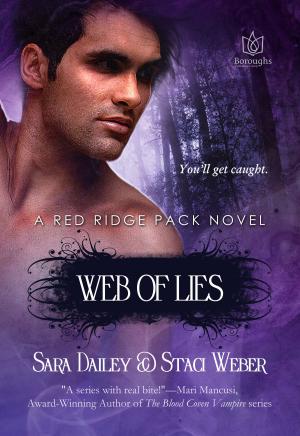 Cover of the book Web of Lies by Michelle Kemper Brownlow