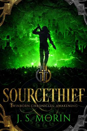 Cover of the book Sourcethief by David K. Anderson