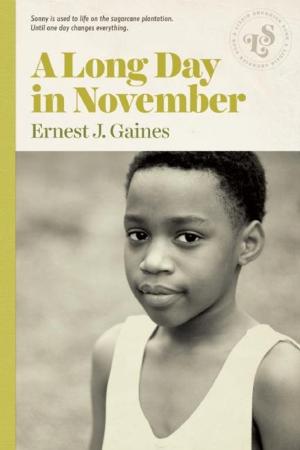 Cover of the book A Long Day in November by Berthe Amoss