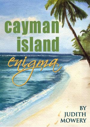 Book cover of The Cayman Island Enigma