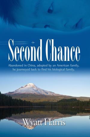 Cover of the book The Second Chance by Tara Losquadro Liddle