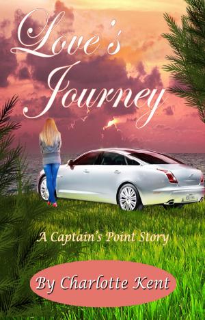 Cover of the book Love's Journey by Anita Claire
