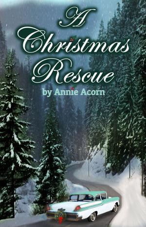 Cover of the book A Christmas Rescue by Annie Acorn