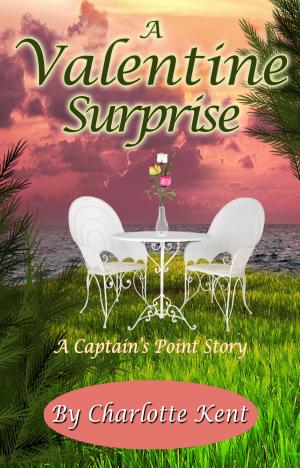 Cover of the book A Valentine Surprise by D. A. Grady