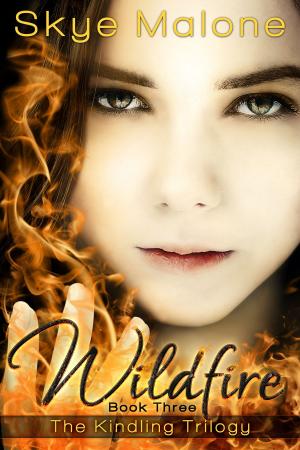Cover of the book Wildfire by Skye Malone, Megan Joel Peterson