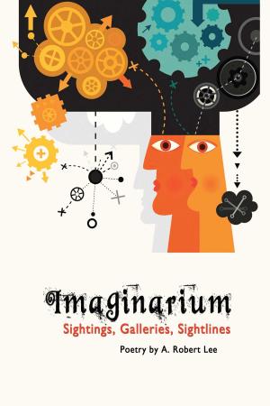 Book cover of Imaginarium: Sightings, Galleries, Sightlines