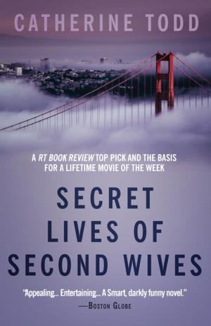 Cover of the book Secret Lives of Second Wives by Raine Cantrell