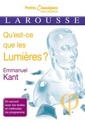 Cover of the book Qu'est-ce que les Lumières ? by André Vulin