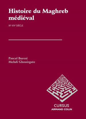 Cover of the book Histoire du Maghreb médiéval by Anne Brun, Bernard Chouvier