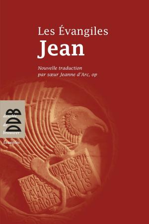 Cover of the book Evangile selon Jean by Thomas Gueydier, Michel Santier