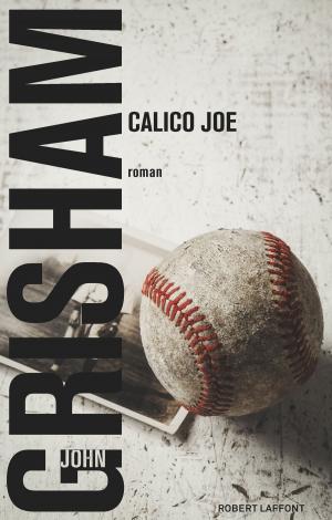 Cover of the book Calico Joe by François BAZIN