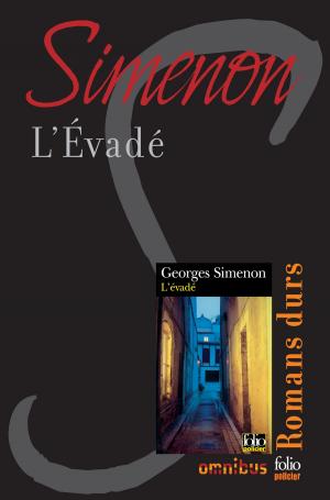 Cover of the book L'évadé by Françoise BOURDIN