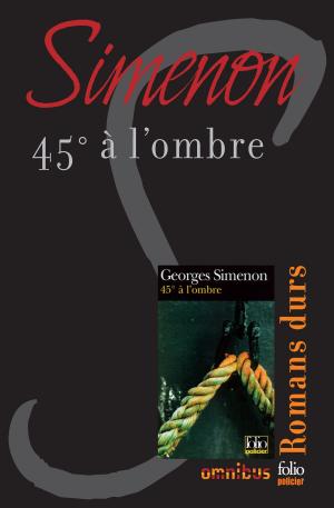 Cover of the book 45° à l'ombre by Françoise BOURDIN