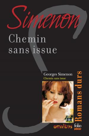 Cover of the book Chemin sans issue by Georges SIMENON