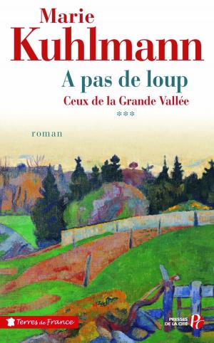 Cover of the book A pas de loup by HOMÉRIC
