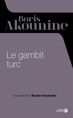 Book cover of Le gambit turc
