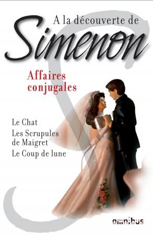 Cover of the book A la découverte de Simenon 1 by Marc DUGAIN, Christophe LABBE