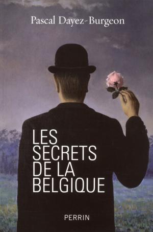 Cover of the book Les secrets de la Belgique by Claude QUÉTEL