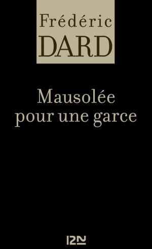 Cover of the book Mausolée pour une garce by Cécile CABANAC