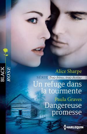 Book cover of Un refuge dans la tourmente - Dangereuse promesse