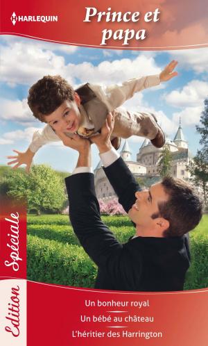 Book cover of Prince et papa