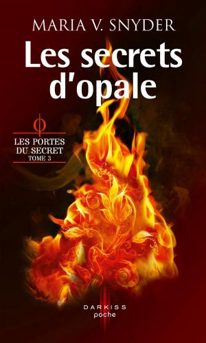 bigCover of the book Les secrets d'opale by 