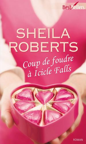 Book cover of Coup de foudre à Icicle Falls