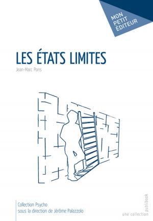 Cover of the book Les Etats limites by Cedric Lalaury