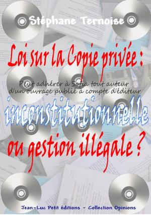 bigCover of the book Loi sur la Copie privée : inconstitutionnelle ou gestion illégale ? by 