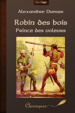 Cover of the book Robin des bois prince des voleurs by Vincent Martorell
