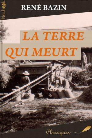 Cover of the book La Terre qui meurt by Vincent  Martorell